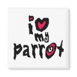 I Love My Parrot magnets