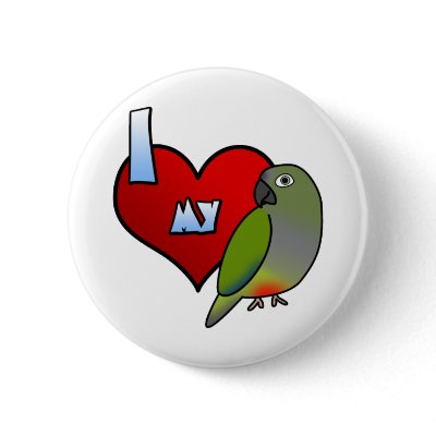 I Love my Patagonian Conure Pin by MenagerieMayhem