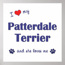I Love My Patterdale Terrier (Female Dog) Poster