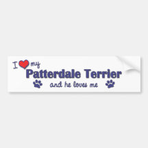 I Love My Patterdale Terrier (Male Dog) Bumper Stickers