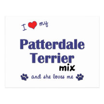I Love My Patterdale Terrier Mix (Female Dog) Postcards
