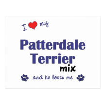 I Love My Patterdale Terrier Mix (Male Dog) Post Card
