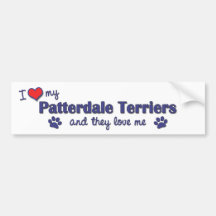 I Love My Patterdale Terriers (Multiple Dogs) Bumper Stickers