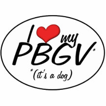 I Love My PBGV (It's a Dog) Photo Cut Out