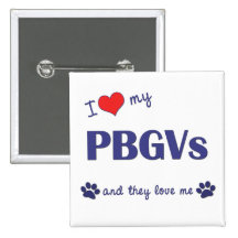 I Love My PBGVs (Multiple Dogs) Pinback Buttons