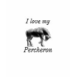 I love my percheron