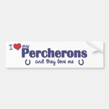 I Love My Percherons (Multiple Horses) Bumper Stickers