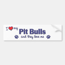 I Love My Pit Bulls (Multiple Dogs) Bumper Stickers