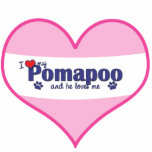 I Love My Pomapoo (Male Dog) Photo Cut Outs