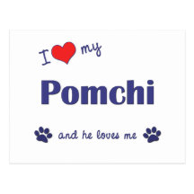 I Love My Pomchi (Male Dog) Postcards