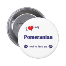 I Love My Pomeranian (Male Dog) Pinback Button