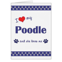 I Love My Poodle (Female Dog) Greeting Cards
