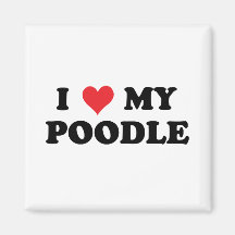 I Love My Poodle Magnet
