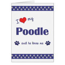 I Love My Poodle (Male Dog) Greeting Cards