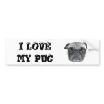 I love my pug bumper sticker