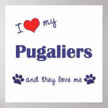 I Love My Pugaliers (Multiple Dogs) Posters