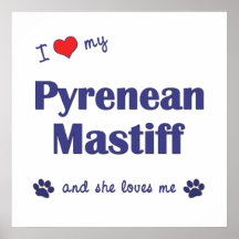 I Love My Pyrenean Mastiff (Female Dog) Poster