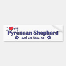I Love My Pyrenean Shepherd (Female Dog) Bumper Sticker