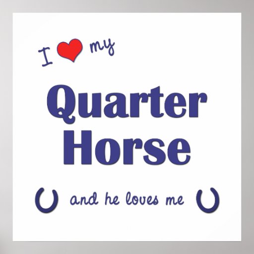 I Love My Quarter Horse (Male Horse) Poster