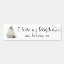 I love my ragdoll and he loves me bumper sticker