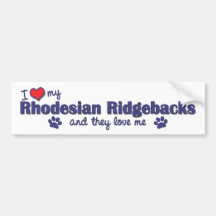 I Love My Rhodesian Ridgebacks (Multiple Dogs) Bumper Sticker