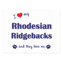I Love My Rhodesian Ridgebacks (Multiple Dogs) Post Cards