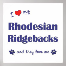 I Love My Rhodesian Ridgebacks (Multiple Dogs) Print