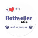 I Love My Rottweiler Mix (Male Dog) stickers