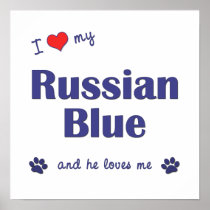 I Love My Russian Blue (Male Cat) Posters