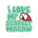 I Love My Scarlet Macaw Stickers