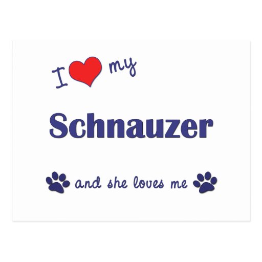 I Love My Schnauzer (Female Dog) Post Card