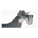I Love My Schnauzer photo cards