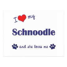 I Love My Schnoodle (Female Dog) Postcards
