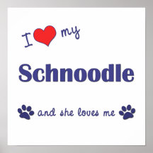I Love My Schnoodle (Female Dog) Poster Print