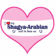I Love My Shagya-Arabian (Male Horse) Photo Sculptures