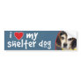 I Love My Shelter Dog Beagle Bumper Stickers