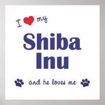 I Love My Shiba Inu (Male Dog) Poster