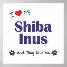 I Love My Shiba Inus (Multiple Dogs) Posters