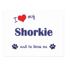 I Love My Shorkie (Male Dog) Postcard