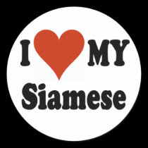 I Love My Siamese Cat Merchandise stickers