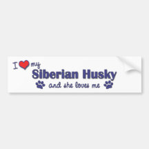 I Love My Siberian Husky (Female Dog) Bumper Sticker