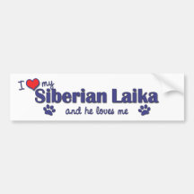 I Love My Siberian Laika (Male Dog) Bumper Sticker