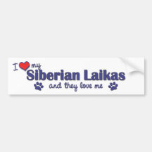 I Love My Siberian Laikas (Multiple Dogs) Bumper Stickers