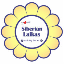I Love My Siberian Laikas (Multiple Dogs) Cut Outs