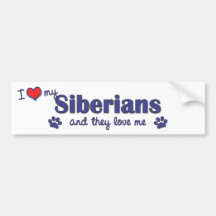 I Love My Siberians (Multiple Cats) Bumper Stickers