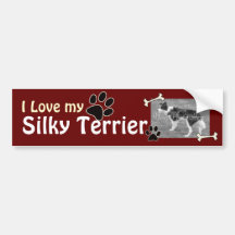 I love my Silky TerrierBumper Sticker