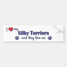 I Love My Silky Terriers (Multiple Dogs) Bumper Stickers