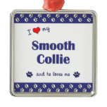 I Love My Smooth Collie (Male Dog) Christmas Ornament