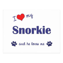I Love My Snorkie (Male Dog) Postcard