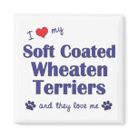 I Love My Soft Coated Wheaten Terrier (Multi Dogs) magnets